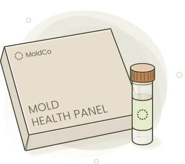 Illustration of a MoldCo health panel box and collection vial