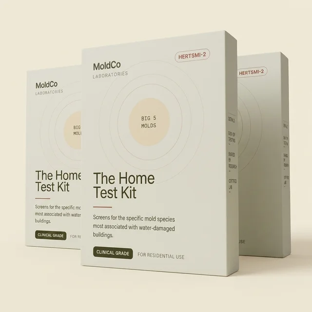 Three MoldCo Home Test Kit boxes
