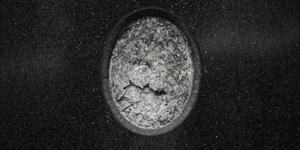 Chaetomium Globosum