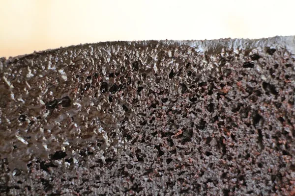Stachybotrys Chartarum